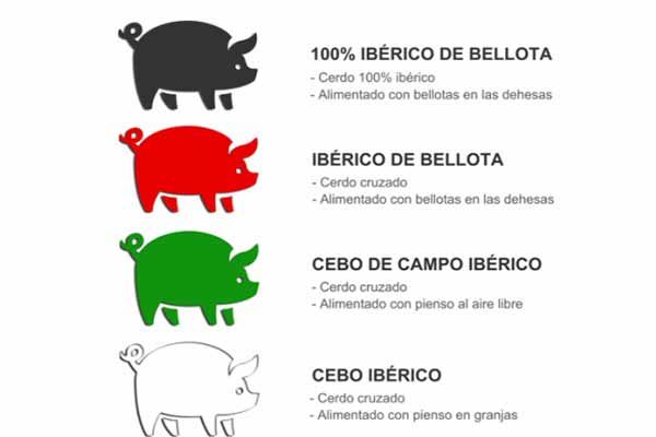significado de las etiquetas del jamón
